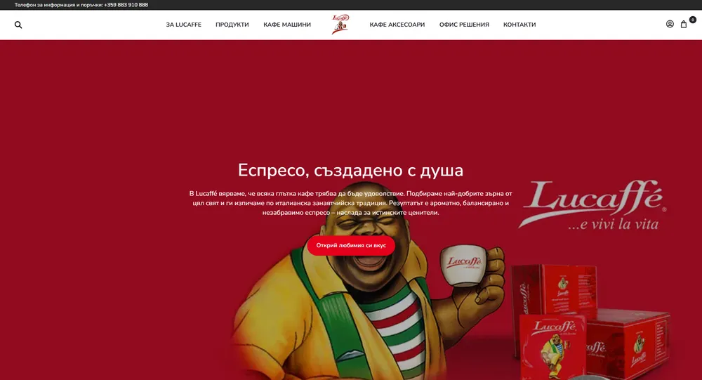 Online store development