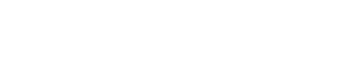Nestra — logo